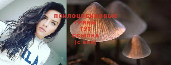 меф Гусь-Хрустальный