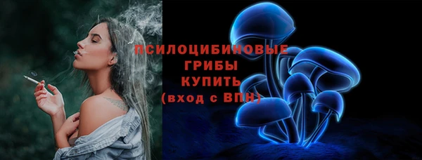 не бодяженный Гусиноозёрск