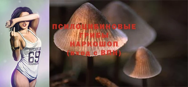 не бодяженный Гусиноозёрск