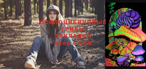 не бодяженный Гусиноозёрск
