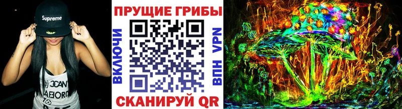 Псилоцибиновые грибы Cubensis Ялта
